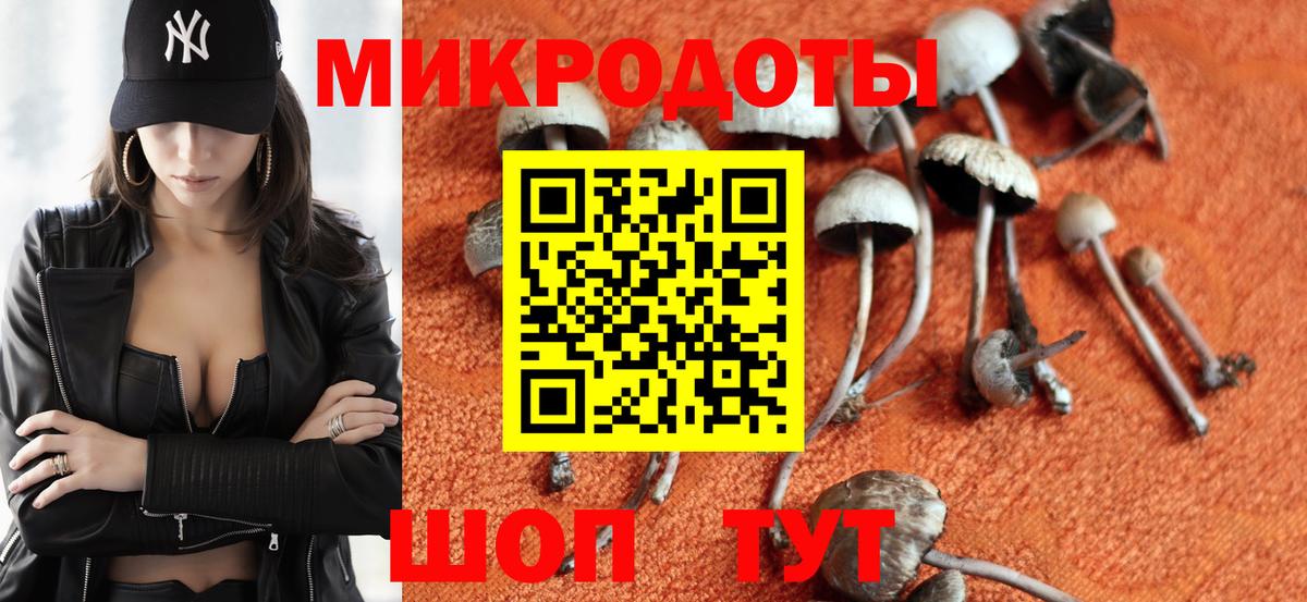 Псилоцибиновые грибы GOLDEN TEACHER Нарткала