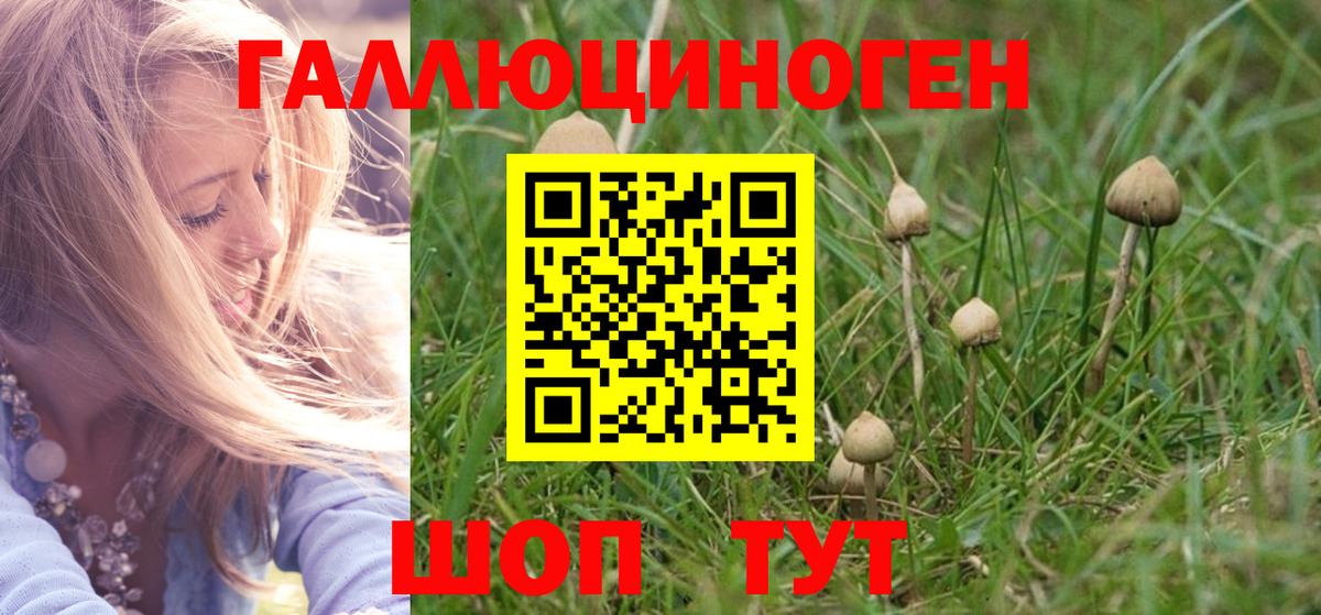Нарткала  Галлюциногенные грибы GOLDEN TEACHER  Вход с VPN 