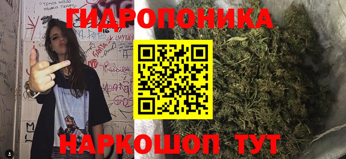 Конопля AK-47  МАРИХУАНА THC 21%  Нарткала  Вход с VPN  Каннабис семена 