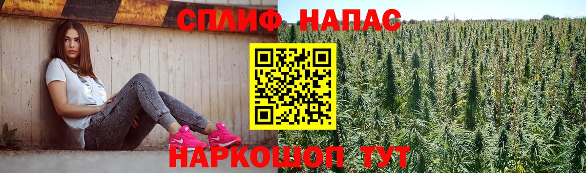 Бошки марихуана гибрид Нарткала